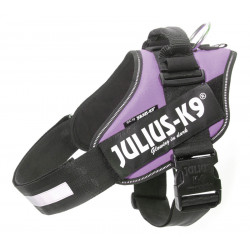 JULIUS K9 POWERHARNESS PETTORINA -  MIS. 2, 28-40 KG VIOLA 71-96 CM 340 G