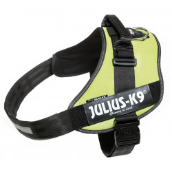 JULIUS K9 POWERHARNESS PETTORINA - MIS. 3, 40-70 KG GIALLO 82-115 CM 400 G