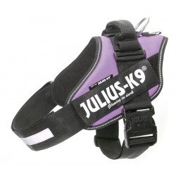 JULIUS K9 POWERHARNESS PETTORINA - MIS. 3, 40-70 KG VIOLA 82-115 CM 400 G