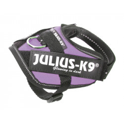 JULIUS K9 POWERHARNESS PETTORINA IN NYLON - BABY 2, KG 2-5 VIOLA 33-45 CM 78 G