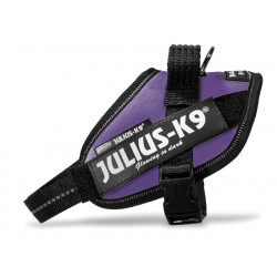 JULIUS K9 POWERHARNESS PETTORINA IN NYLON -  MINI MINI, KG 4-7 VIOLA 40-53 CM 100 G