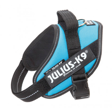 JULIUS K9 POWER PET. NYL. MINI MINI, KG 4-7 ACQUAMARINA 40-53 CM 100 G