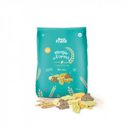 BEST FRIEND MAGIE IN FORNO BISCOTTI 1000 G MIX ZOO