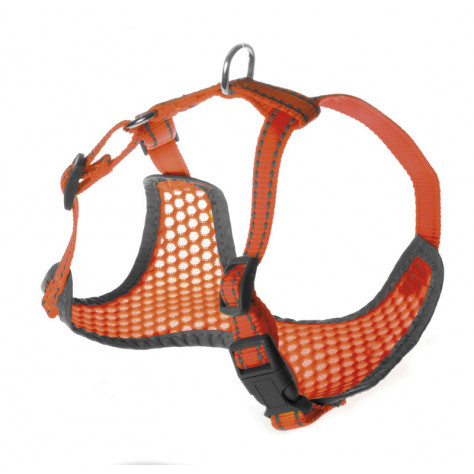 BEST FRIEND FLUO PETTORINA L 42-50/47-65 CM