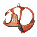 BEST FRIEND FLUO PETTORINA L 42-50/47-65 CM