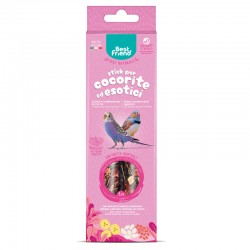 BEST FRIEND 2 PEZZI STICK PER COCORITE, UCCELLI ESOTICI 85G FRUTTA TROPICALE